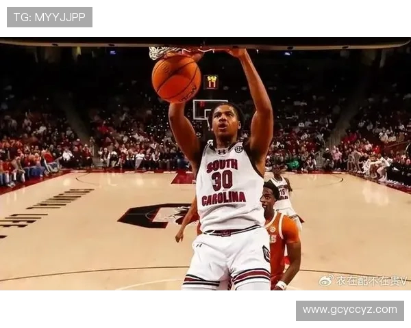 未来可期博伊尔斯防守篮板定乾坤进攻成长成猛龙非卖核心关键基石